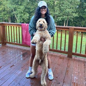 Meet your Posher, Marié